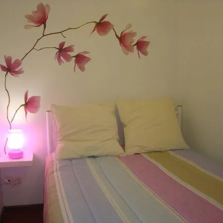 Apartamento Alfama - Santa Luzia - Fado Museum *